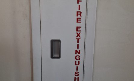 1000214178.jpg