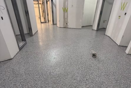 IMG 20250313 WA0058