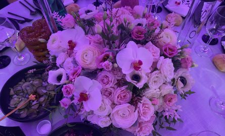 IMG_20240804_195529_01.jpg
