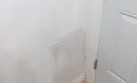 IMG_20250128_113837_668.jpg