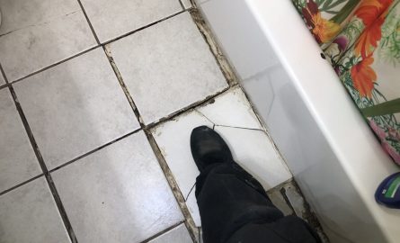 IMG_5687.jpeg