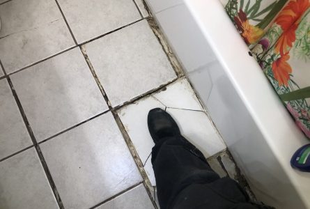 IMG_5687.jpeg