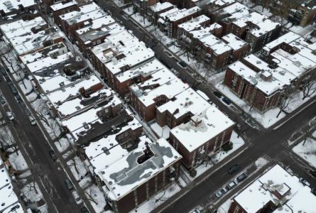 dji_fly_20230212_125228_61_1676225405646_photo-1200x1600-1.jpeg